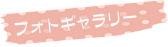 フォトギャラリー